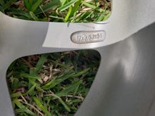 My PM Pictures