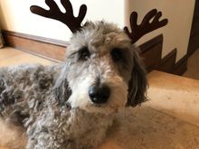 Really, you made me wear these?!