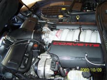 The heart. 540BHP, I am hoping with the larger injectors and the MAF I will see approx 470rwhp...