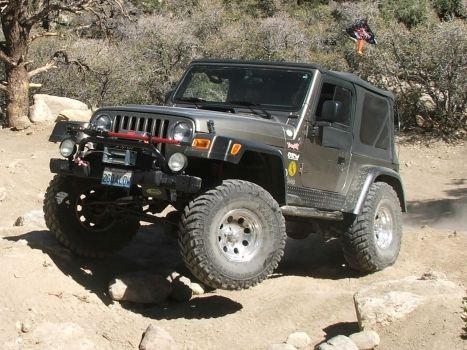 Mall Crawler 1