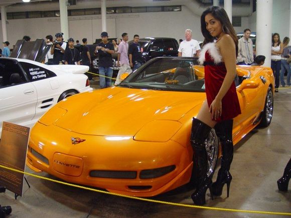 Z06