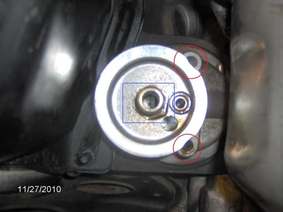 Oil filter adapter (on engine)--two bolts removed (circled in red)  Do I remove CENTER bolt (circled in blue)