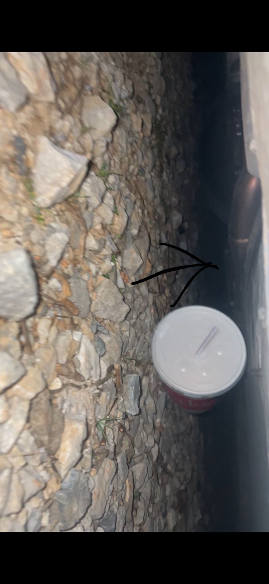 excuse the cup lol it rolled under my car