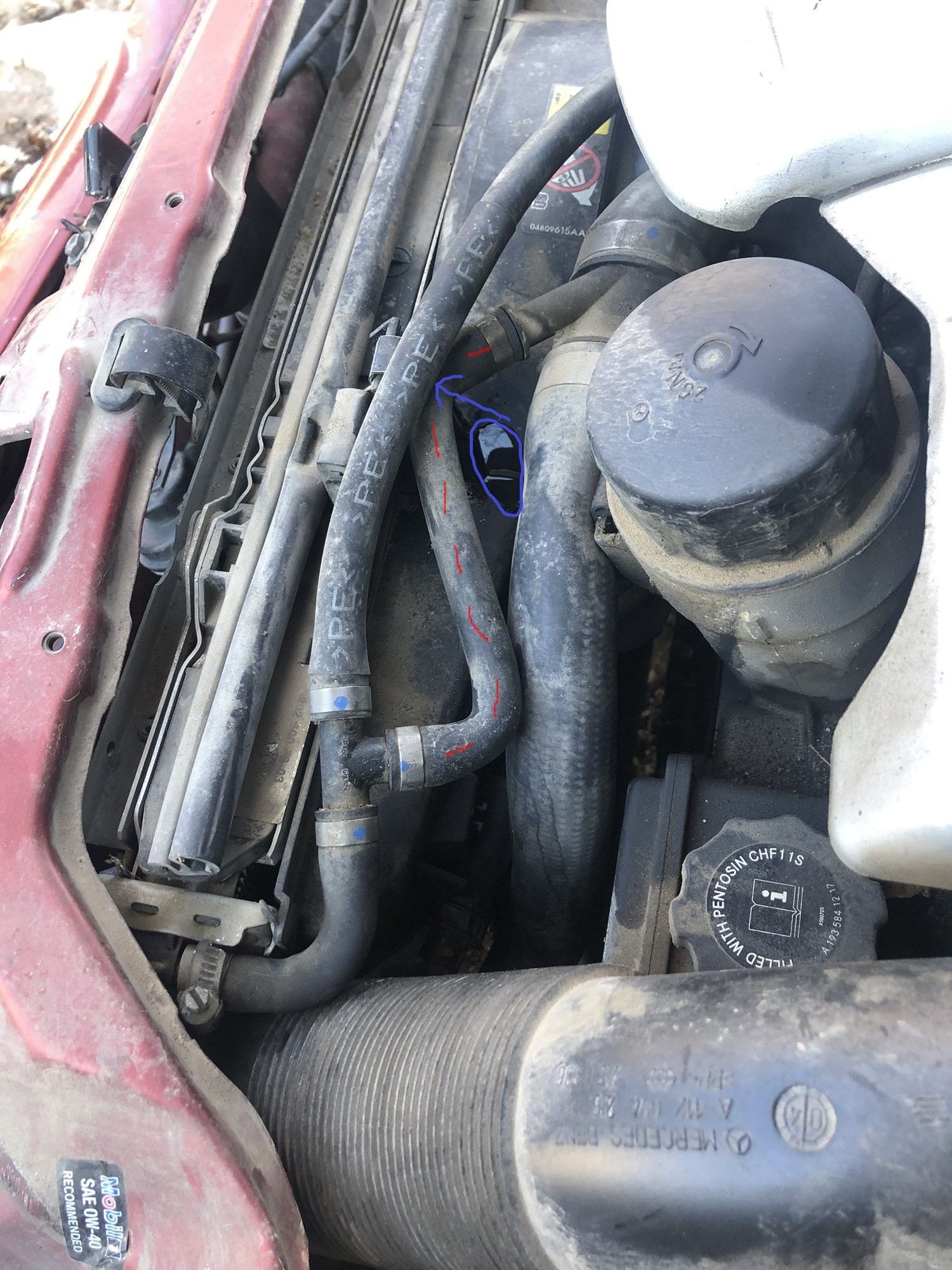 Image of my leaking mystery hose.