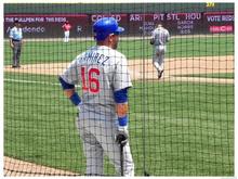 cubs24