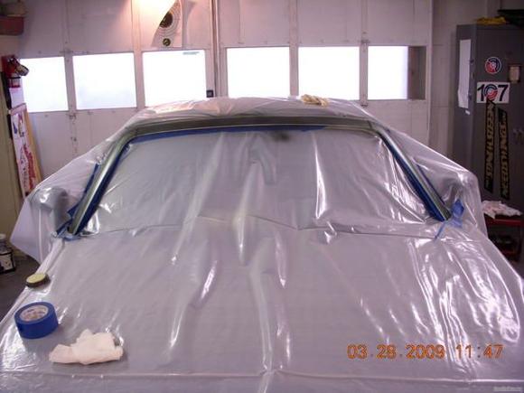 Paint silver trim 006