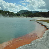 The bush in the background does not suffer from the constant sulphur smell at Wai-O-Tapu thermal springs, New Zeland.