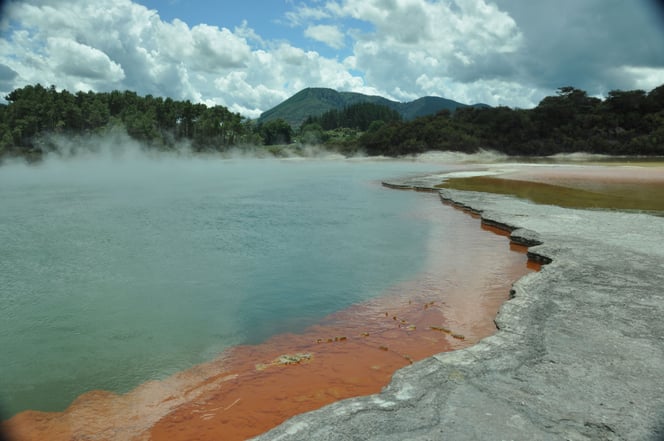 The bush in the background does not suffer from the constant sulphur smell at Wai-O-Tapu thermal springs, New Zeland.