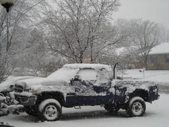 Winter pic
