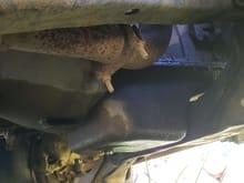 A log of oil under the truck. Engine bottom was wet. Couldnt see any place it was leaking from the engine. Checked the inside bay thoroughly but didn't have a flashlight for underneath? 