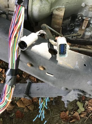 Frame wiring harness 