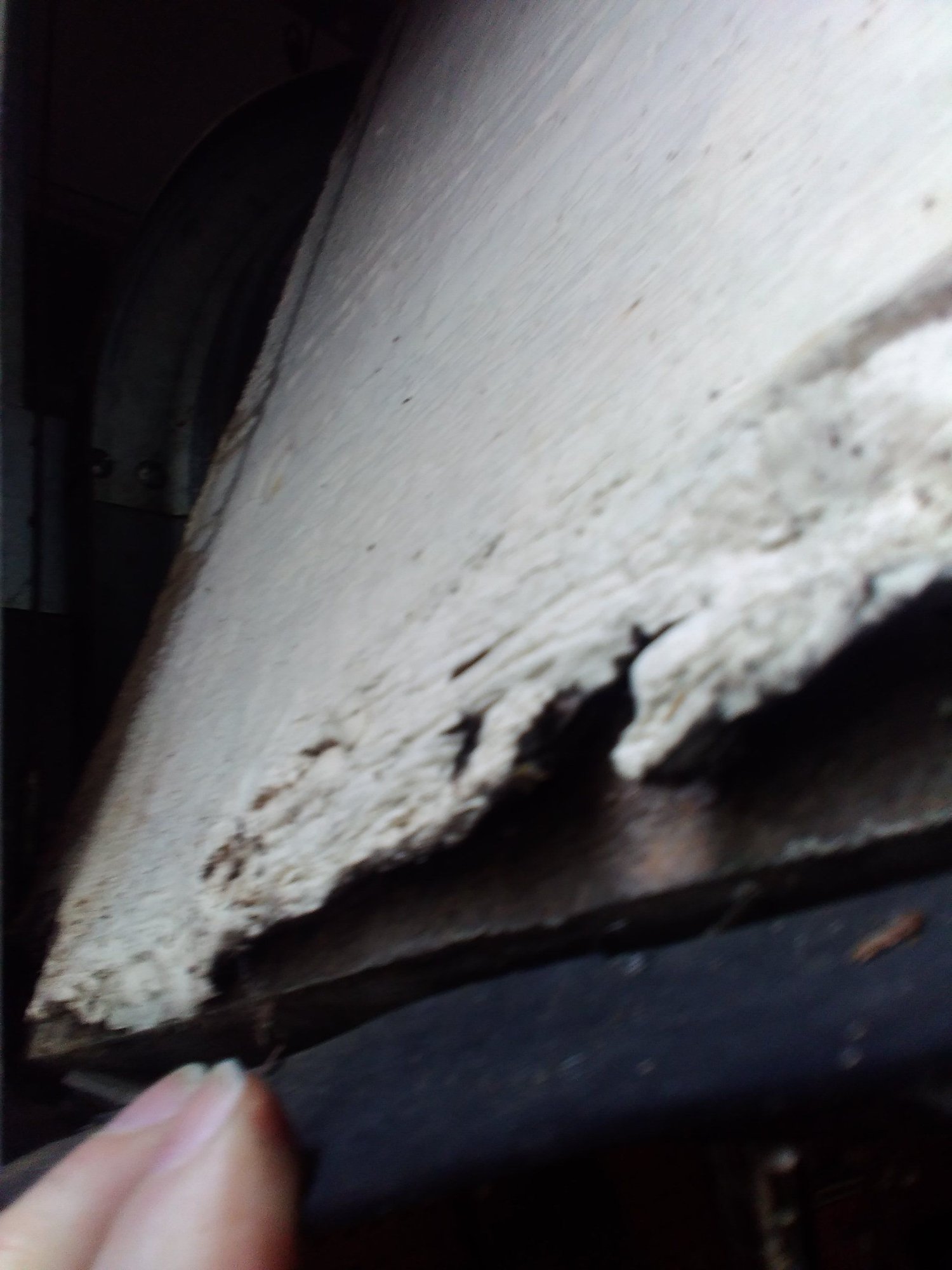 Veneer on Garage Door Panel Cracking. How to Fix ?