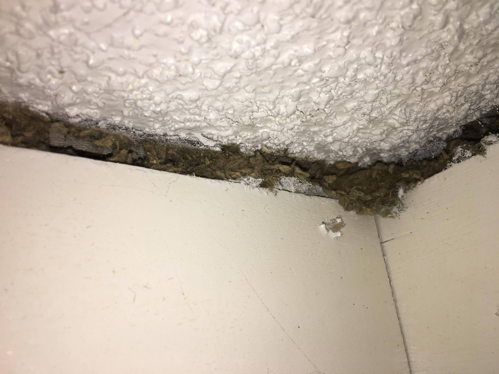 Is this asbestos? - DoItYourself.com Community Forums