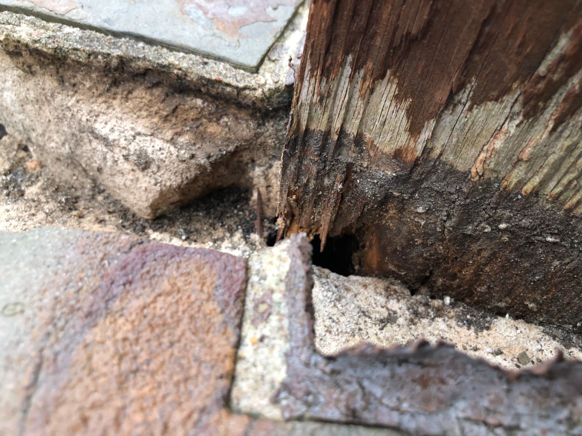 Can I file portions of the mortar between bricks without destroying my  wall? More in comments. : r/stonemasonry