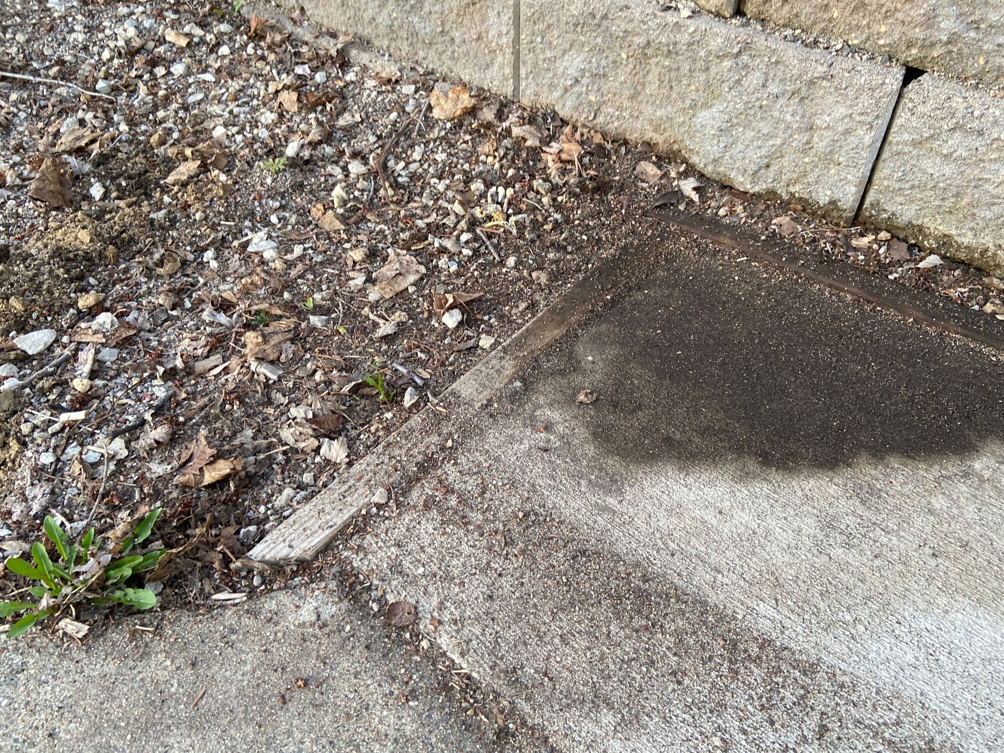 Best way to finish off concrete driveway Community