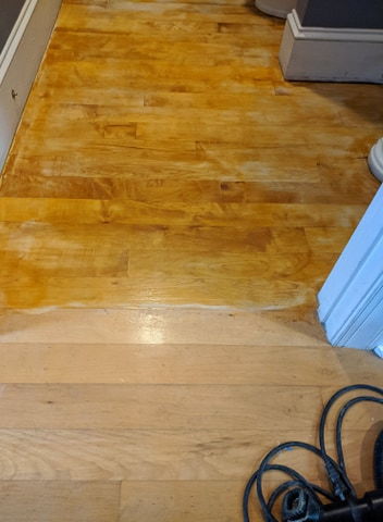 Maple Floor Finish Poly Sac, How Can I Match My Laminate Flooring