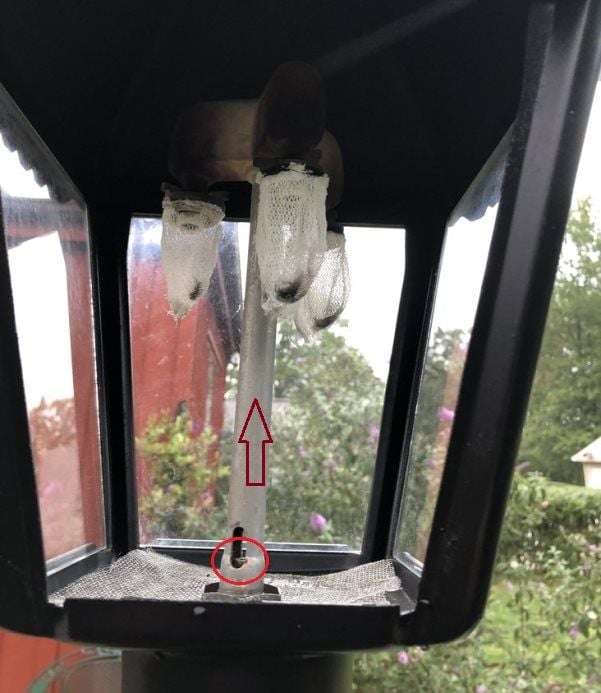 How to Stop a Gas Lantern From Blowing Out On Really Windy Days – Between  Naps on the Porch