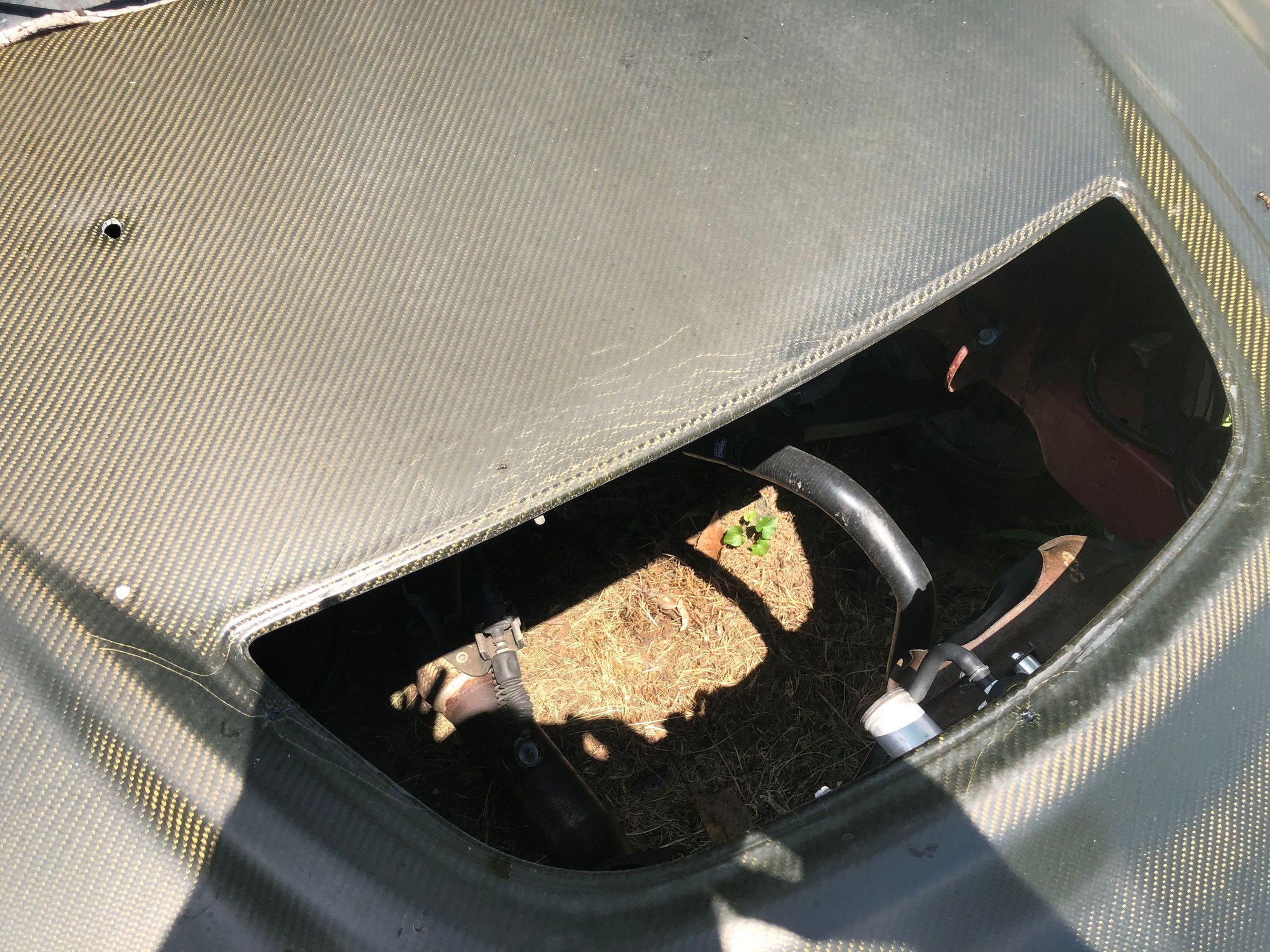 Exterior Body Parts - WTT: OEM Carbon hood and trunk for OEM - Used - 2003 to 2006 Mitsubishi Lancer Evolution - Knoxville, TN 37920, United States