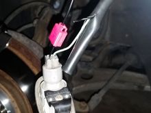 Negative (-) fender signal wire from fender signal assembly