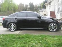 vossen 004