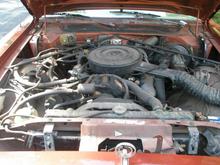 engine compartment