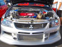 Darwin in the 1st Place Mitsu &amp; Viewer's Choice Winner idrink_v8