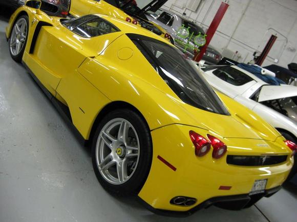 Yellow Enzo
