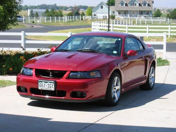 2003 Ford Mustang SVT Cobra - In our family for years. I grew up and matured in its passenger seat