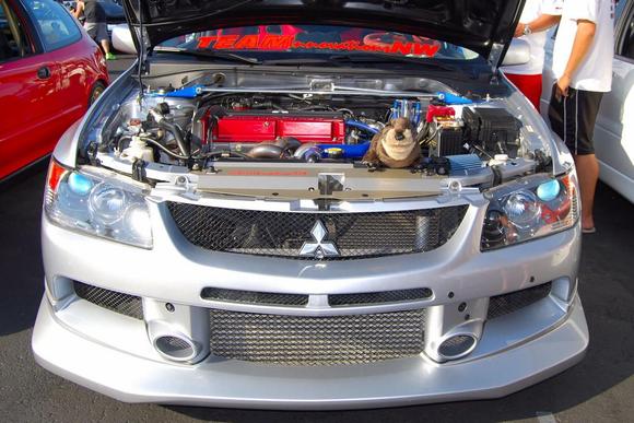 Darwin in the 1st Place Mitsu &amp; Viewer's Choice Winner idrink_v8