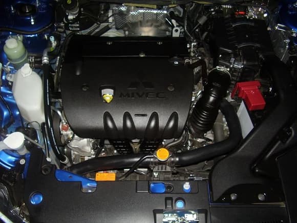 If you think you have a cleaner engine bay, POST PICS!