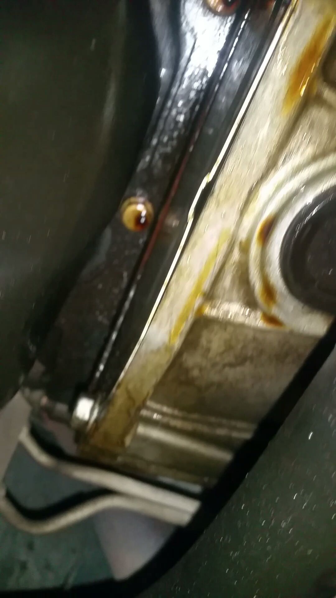 Rear main seal or oil pan gasket ? Ford F150 Forum Community of Ford Truck Fans