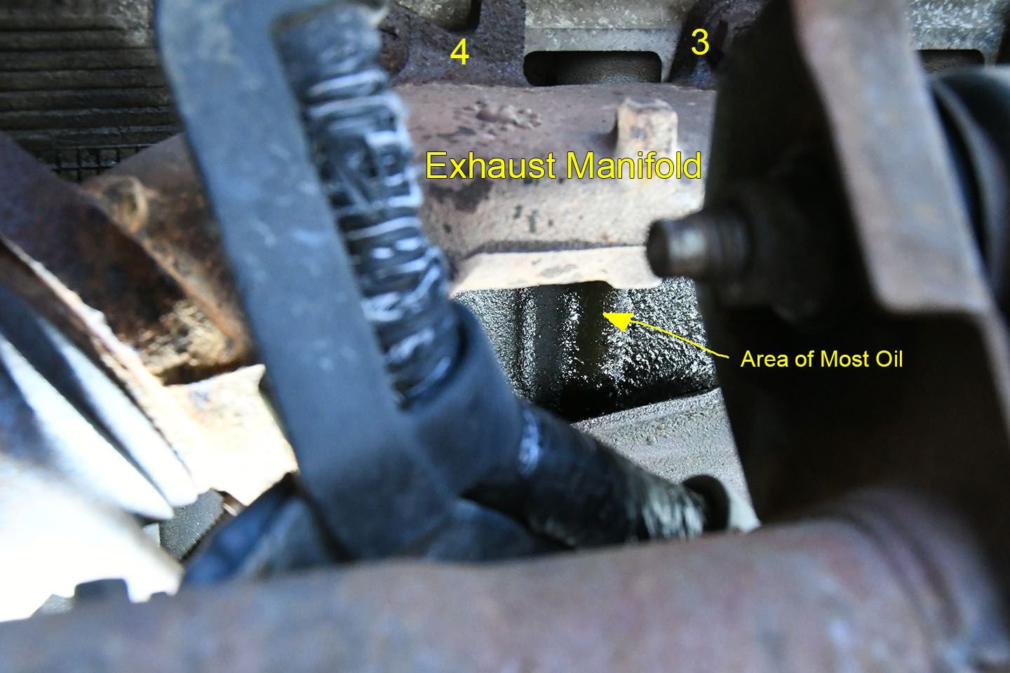 2000 5.4 Engine Oil Leak w/photo Ford F150 Forum Community of Ford