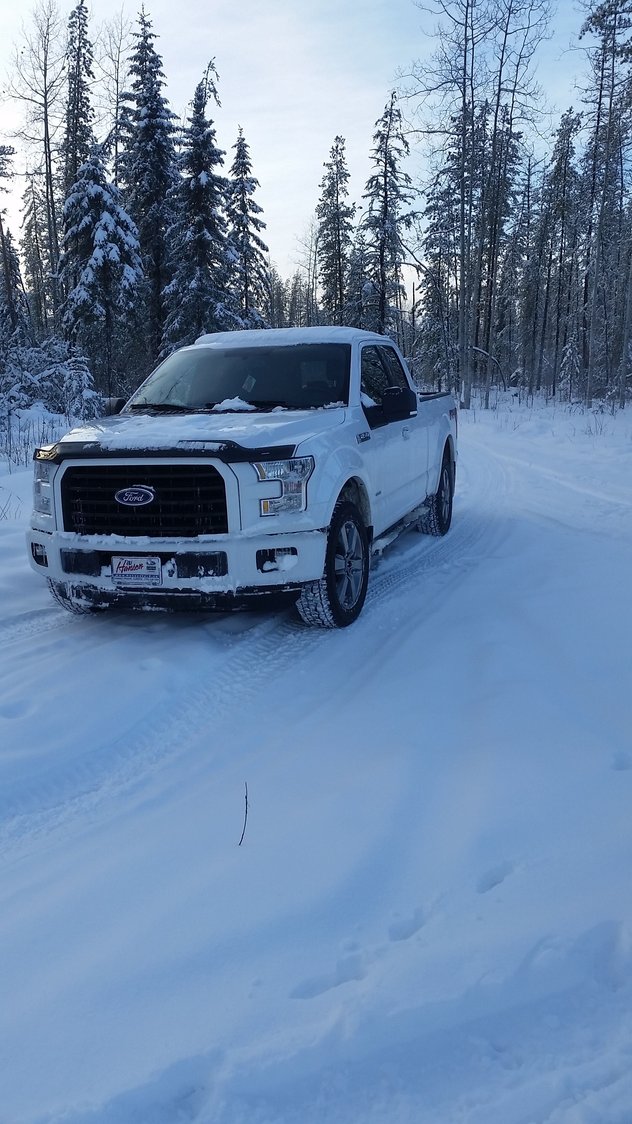 2015+ Trucks in the snow pics - Page 7 - Ford F150 Forum - Community of