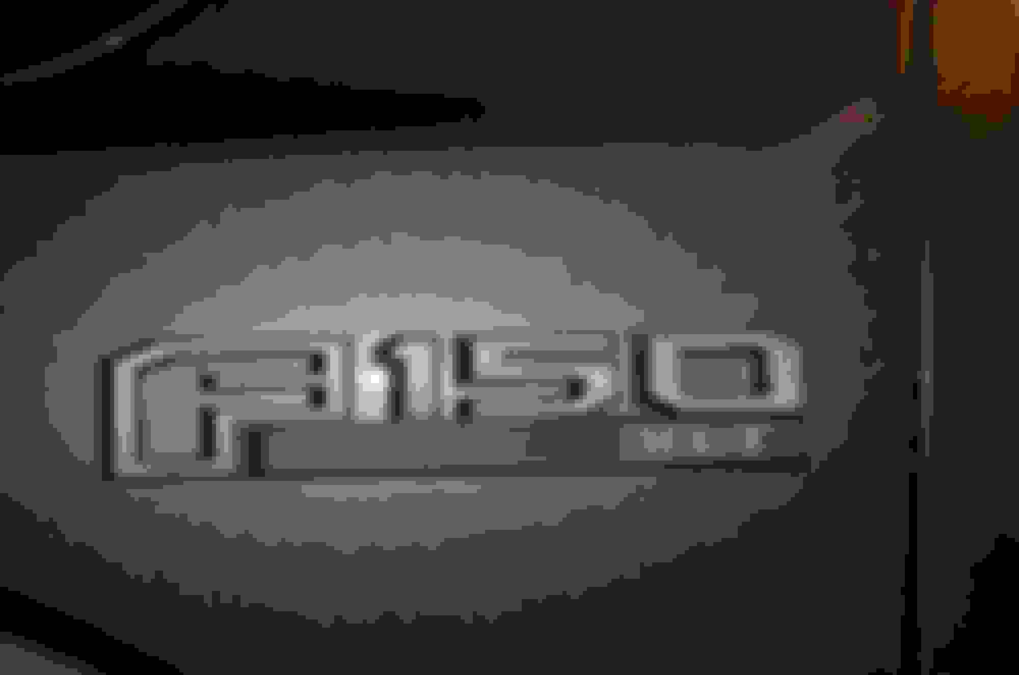 plastidip logo｜TikTok Search