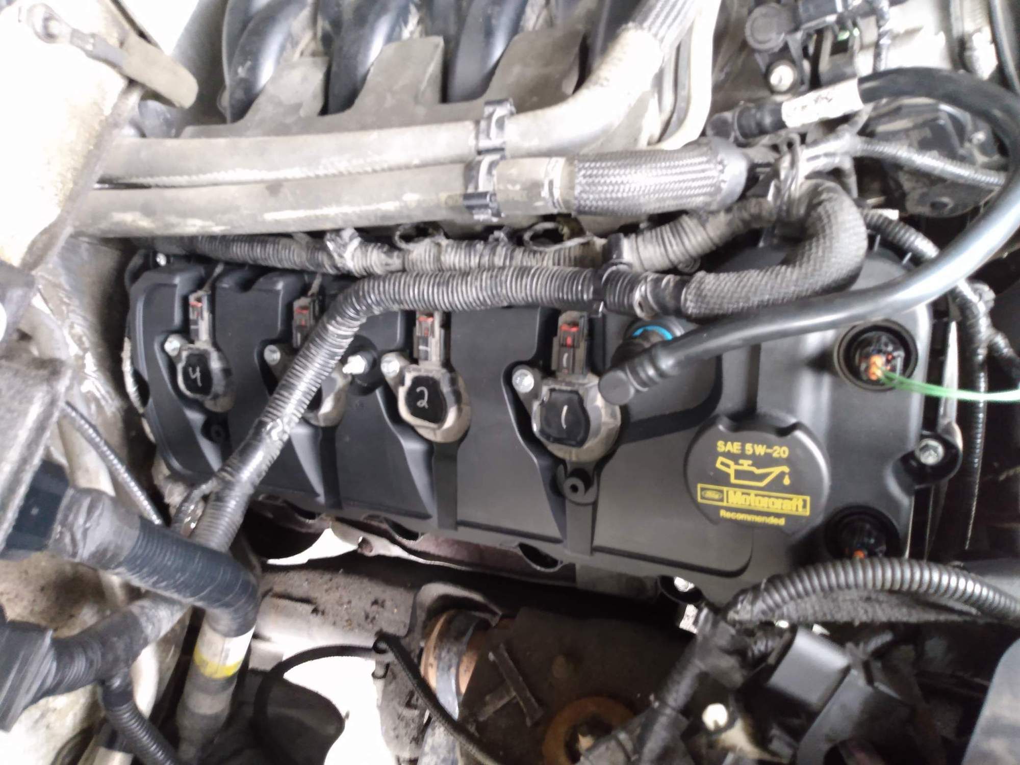 2011 5.0 VCT solenoid replacement, Coyote valve cover off pics. Ford