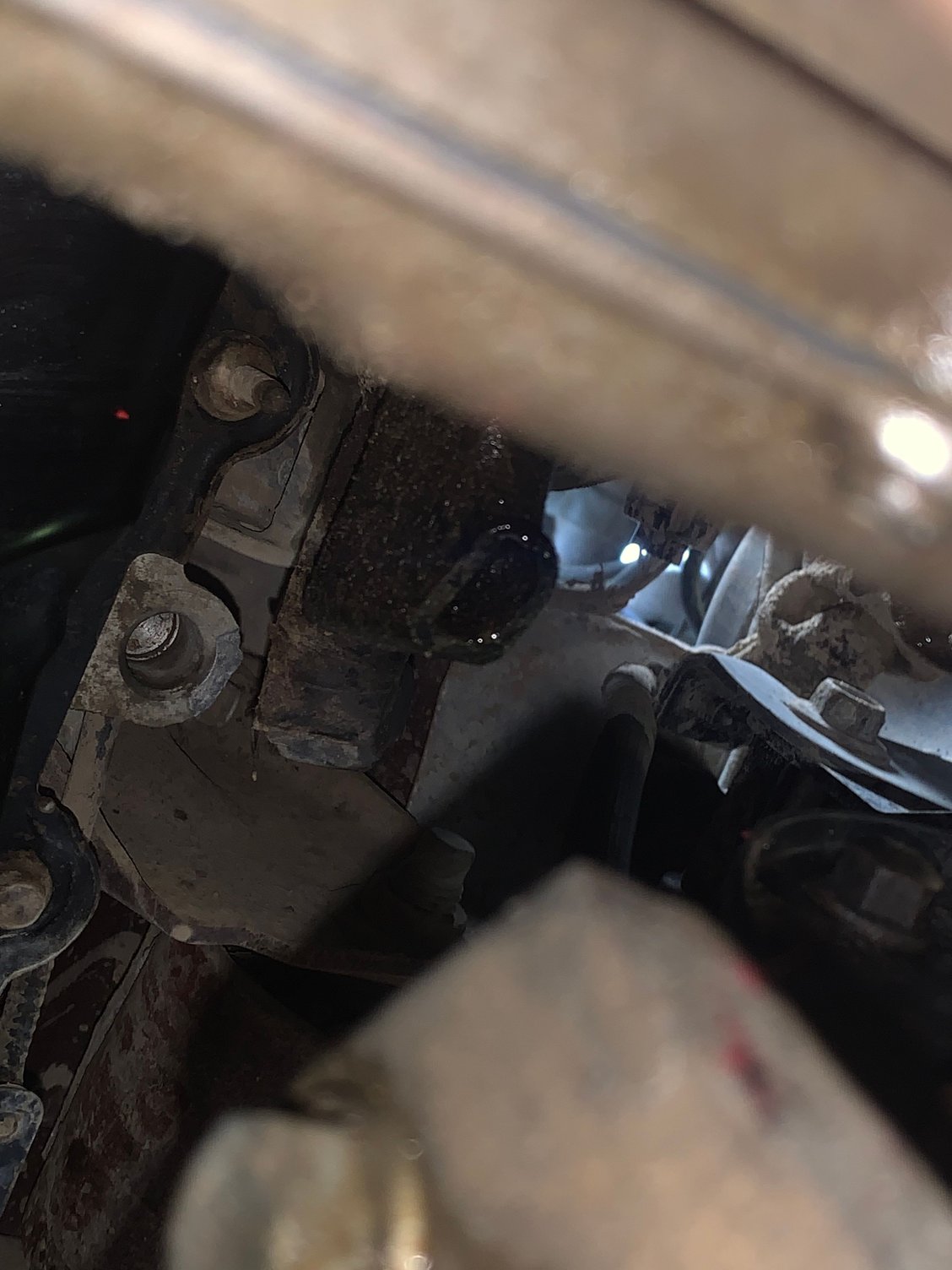 2011 5.0 oil leak - Ford F150 Forum - Community of Ford Truck Fans