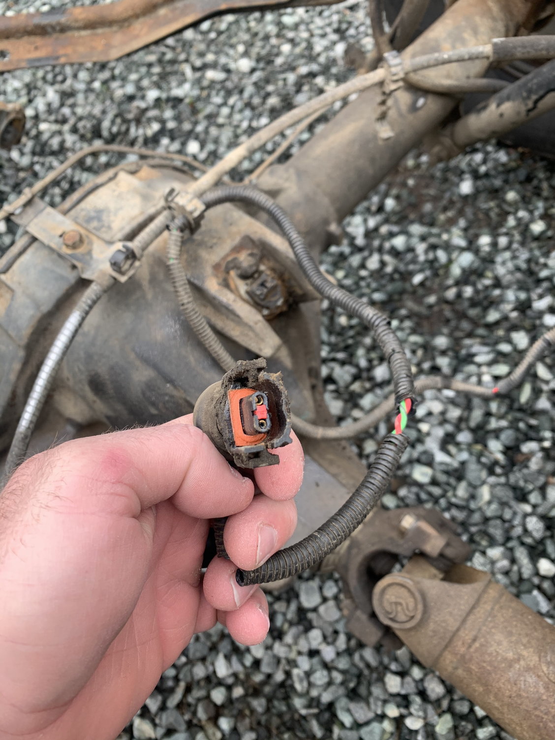Please help: Tell me where this wiring harness goes - Ford F150 Forum