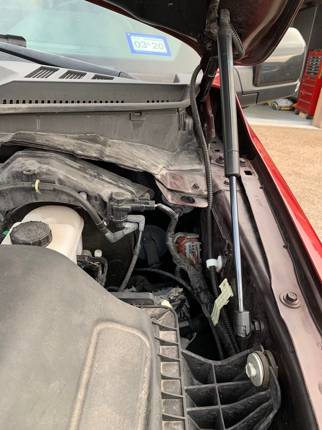 AVS Aeroskin LightShield (lighted bug deflector) Ford F150 Forum