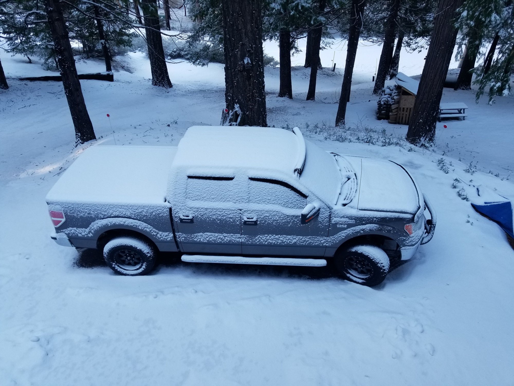 Pics of your truck in the snow - Page 233 - Ford F150 Forum - Community