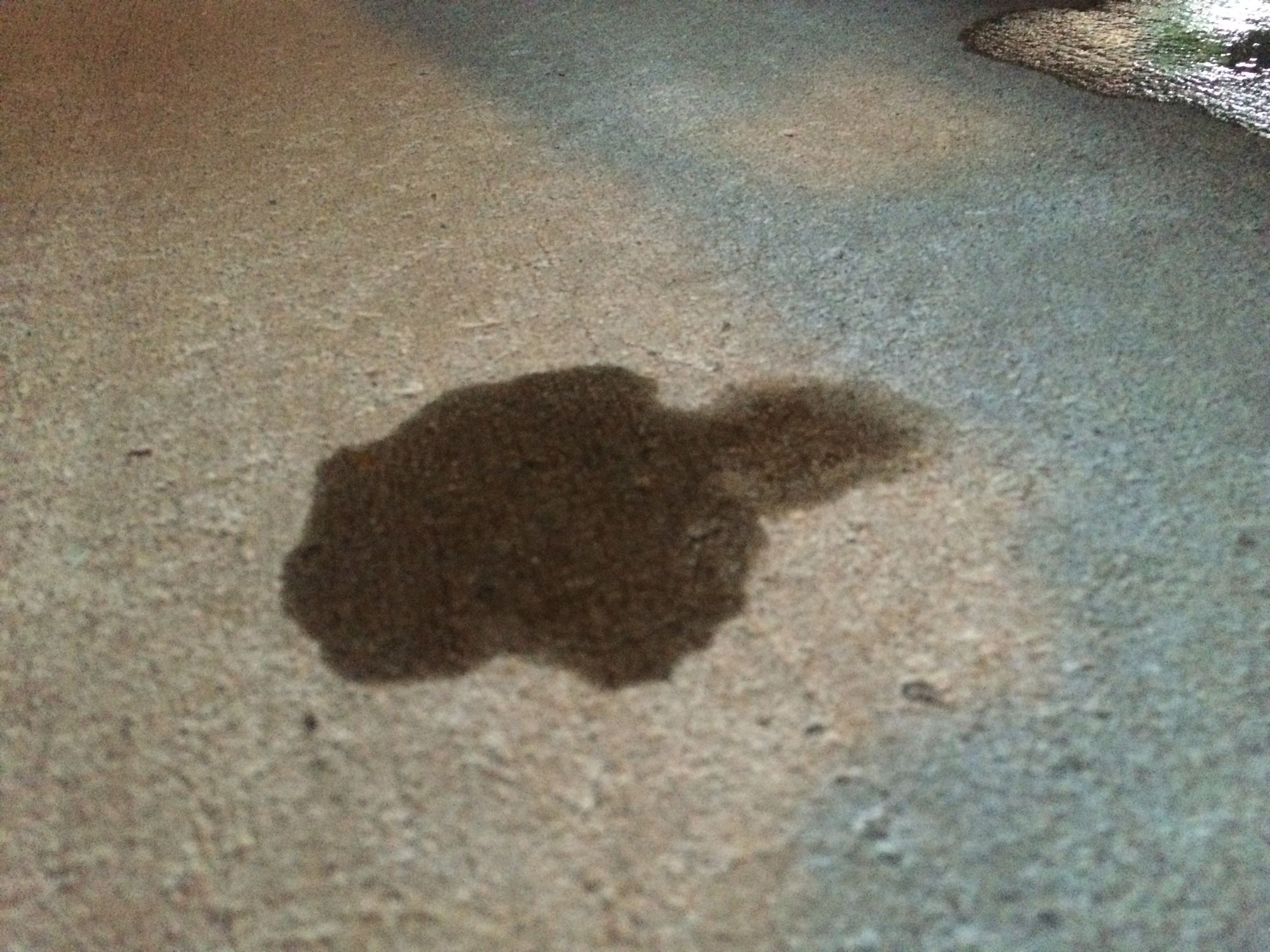 Leaking from front driver side f-150 2003 XLR triton v8 5.4L - Ford