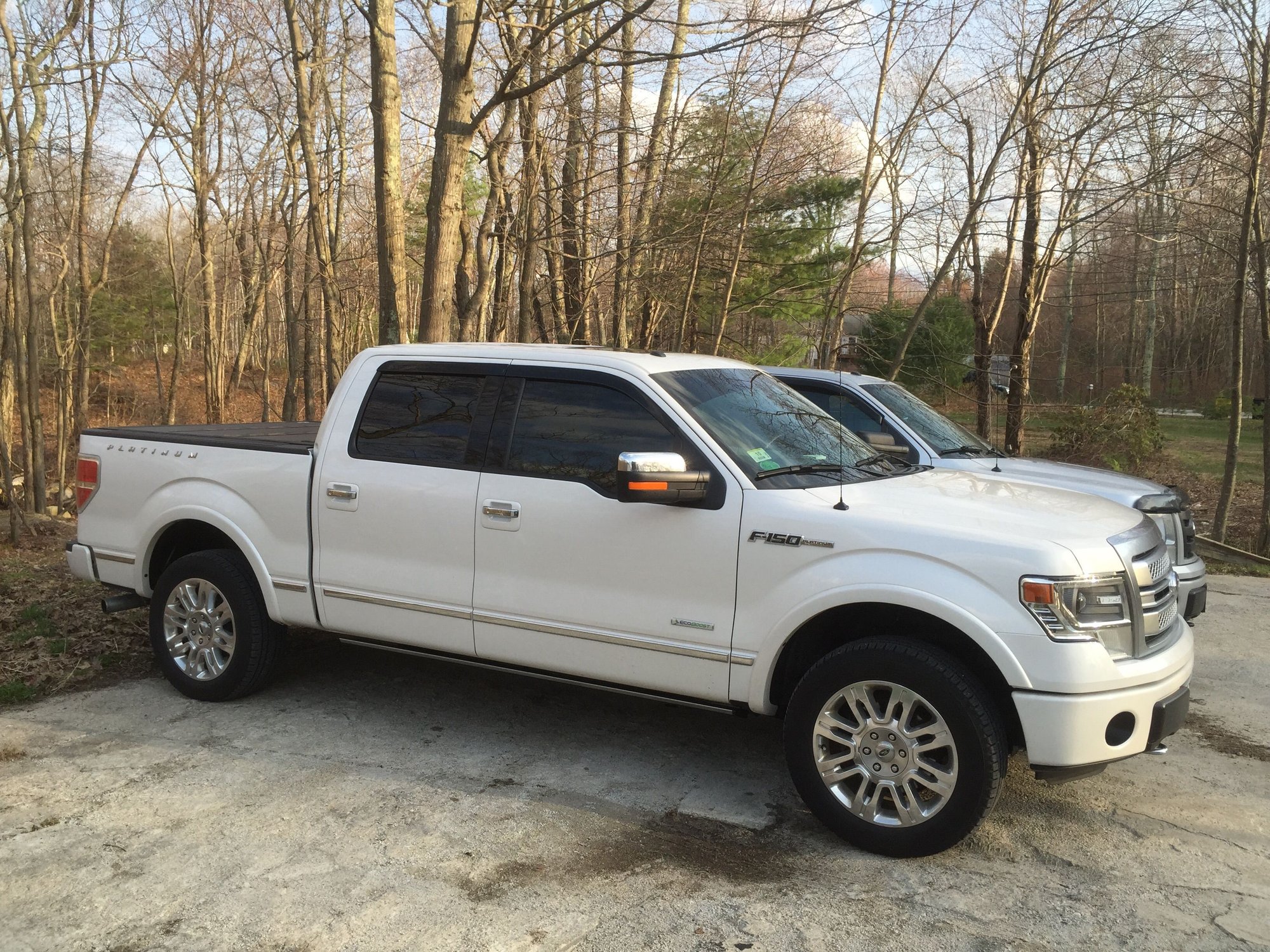 2010 Ford F150 Platinum Tire Size