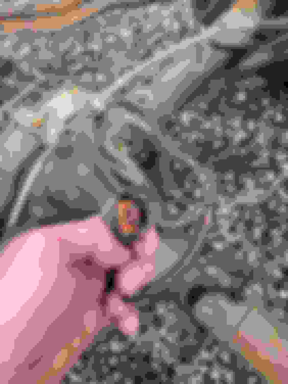 Please help: Tell me where this wiring harness goes - Ford F150 Forum