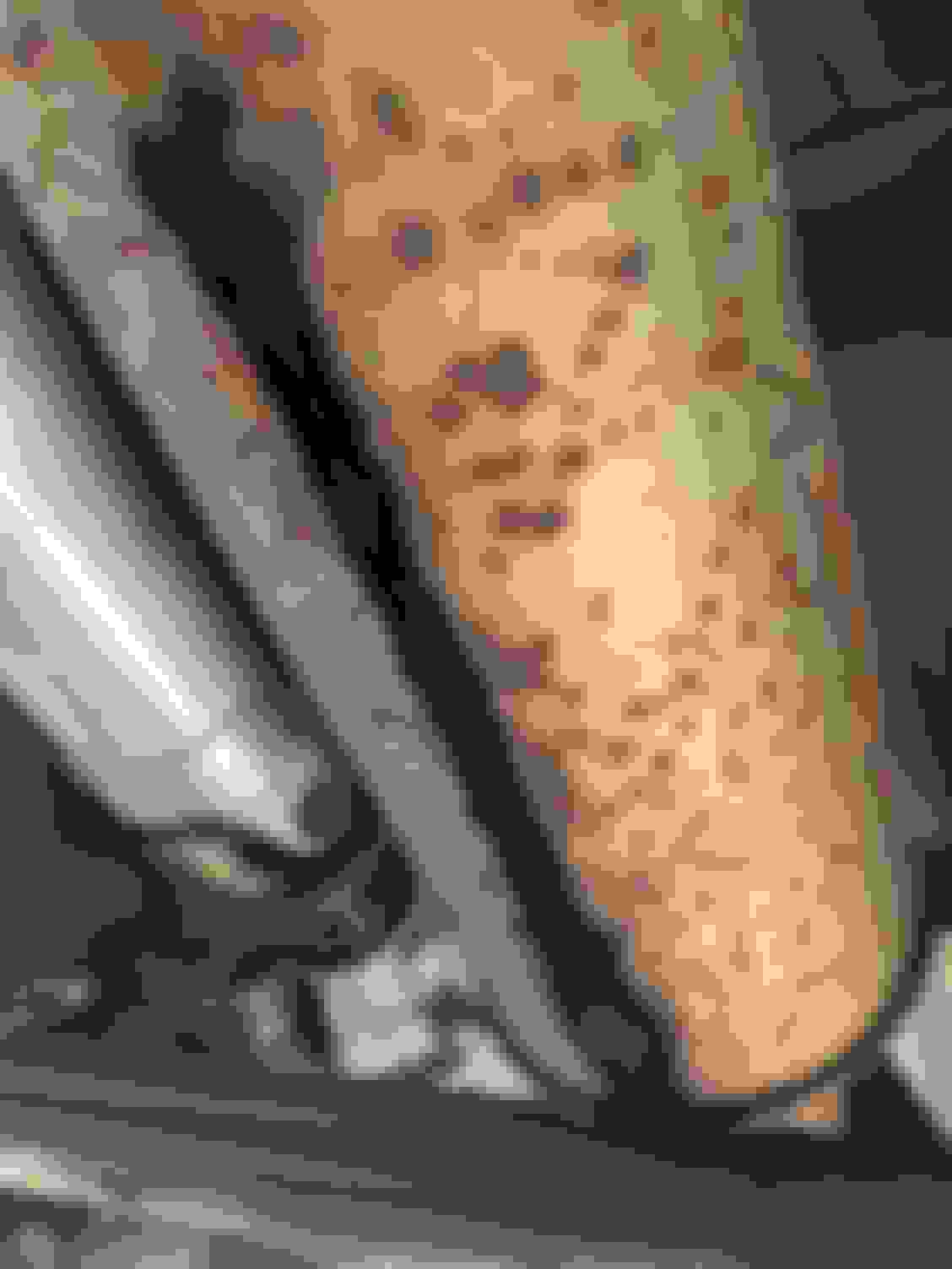 2019 2.7 Resonator Leaking, Particulate stains? Ford F150 Forum Community of Ford Truck Fans