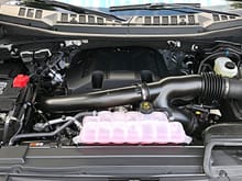 2019 Ford F-150 Limited Engine Compartment