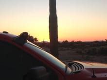 Beautiful AZ sunset!