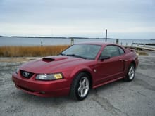 My 2004 Mustang GT, 40th anniversary edition