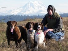 Jake and the a couple of the dogs. Mt. Rainier