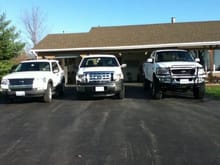 all white ford family