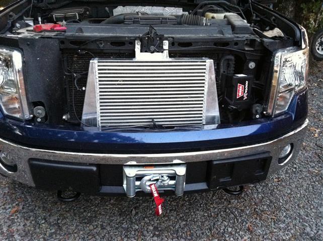 Ford f150 lower grill insert