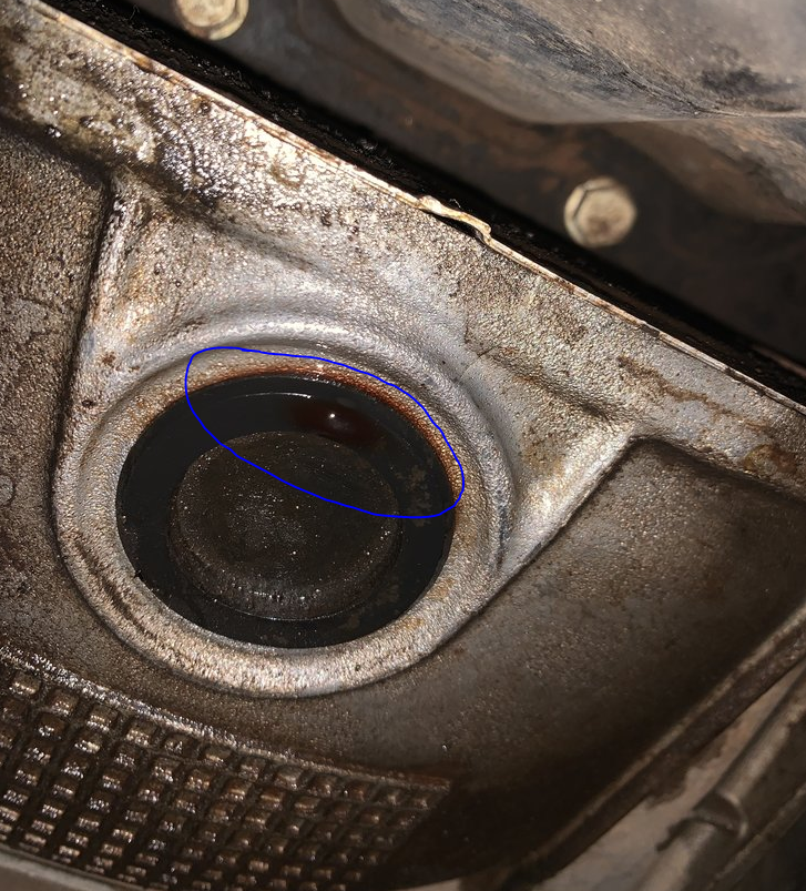 Developed a leak bell housing....I think. Ford F150 Forum Community